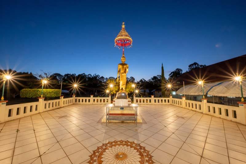 37_Z61_7654_20-08-21